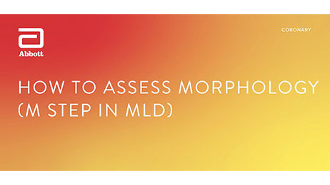 How to assess Morphology