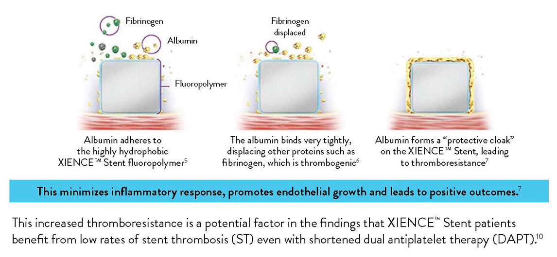 Three step graph showing how the albumin, which the XIENCE Stent’s fluoropolymer retains, minimizes inflammatory response, promotes endothelial growth and leads to positive outcomes. 