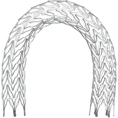 Stent Loop Absolute Pro Vascular Self-Expanding Stent System | Abbott