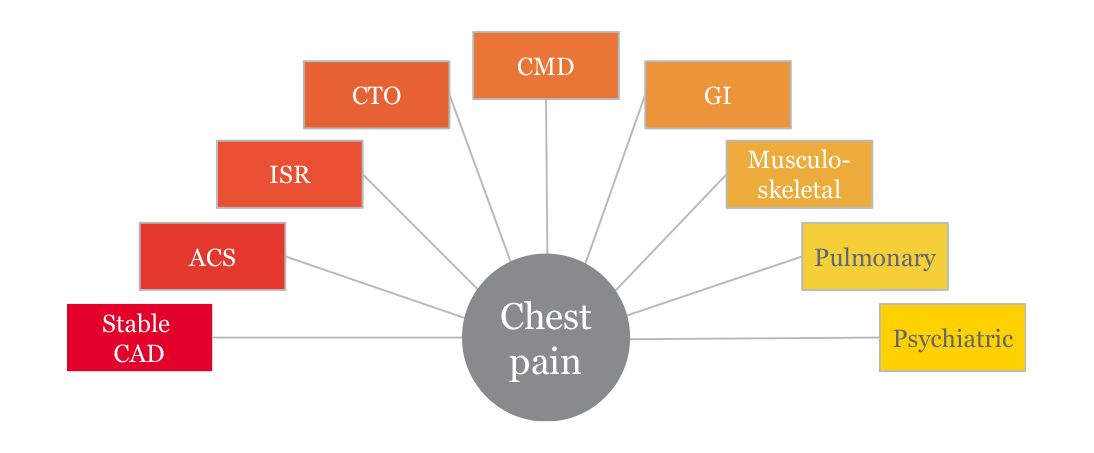 VAS CMD chest pain causes diagram