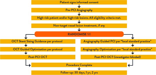 PCI OCT ILUMIEN IV Overview