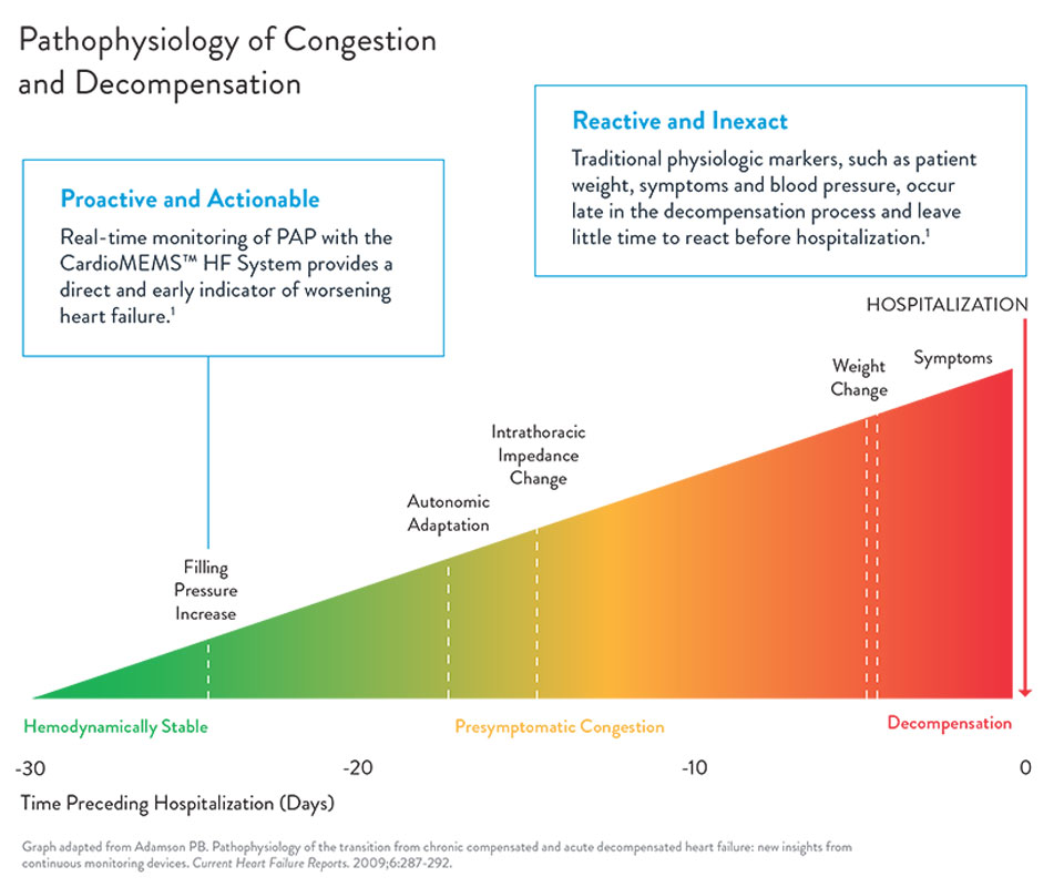 Pathophysiology of Congestion and Decomposition