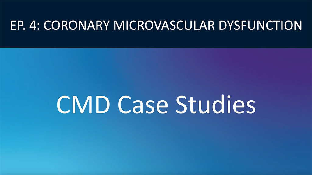 Video of CMD Case Studies for Professionals