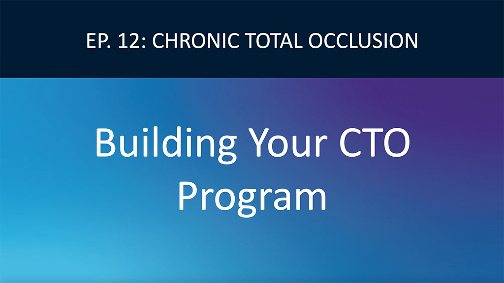 Build and Maintain a Successful CTO Program Video