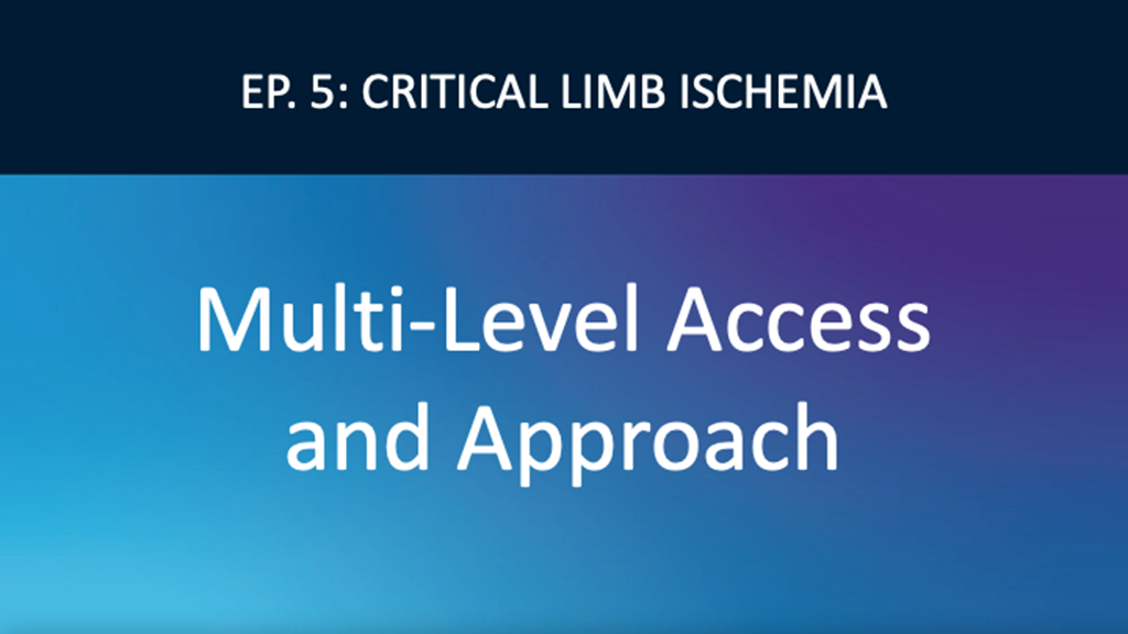 Multi-Level Access and Approach