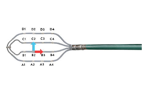 Electrode configuration and data points on the Advisor HD Grid Mapping Catheter, SE