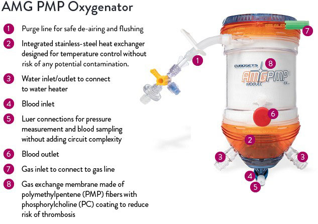 AMG PMP Adult Oxygenator Component Diagram