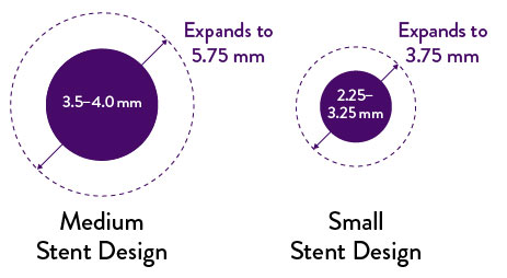 XIENCE Stent expands up to 5.75 mm for 3.5-mm and 4.0-mm stents, and smaller sizes expand up to 3.75 mm.