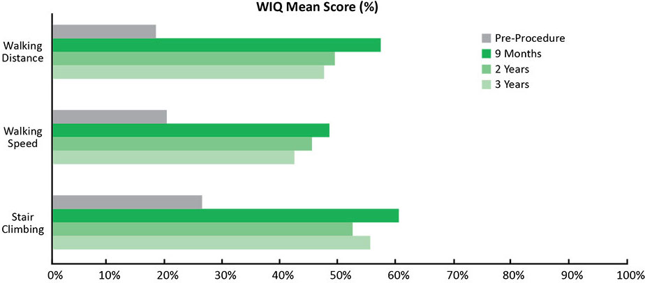 WIQ Mean Score