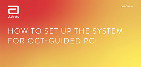 How to set up the system for OCT-guided PCI Video