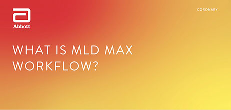What is MLD MAX Workflow?