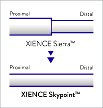 xience stent
