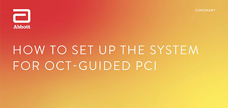 How to set up the system for OCT-guided PCI