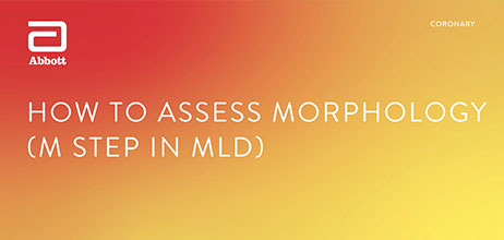 How to assess Morphology using MLD MAX