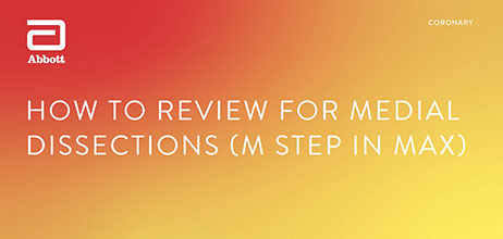 How to review for medial dissections using MLD MAX