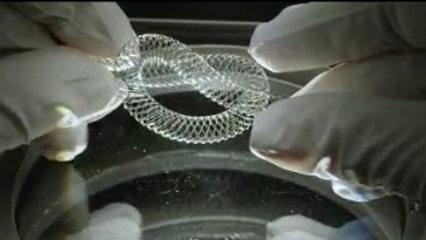 Supera™ Peripheral Stent