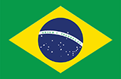 Brazil flag