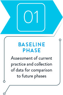 01 - Baseline Phase