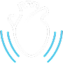 Cardiac Rhythm
