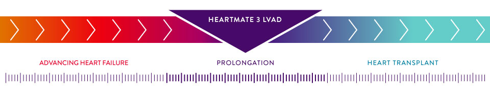 HeartMate 3 Chart