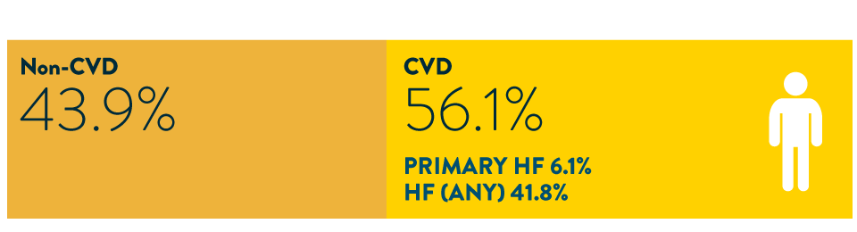 Men non CVD 43.9%, CVD 56.1%