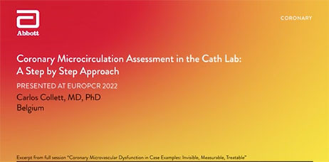 Coronary Microcirculation Assessment in the Cath Lab
