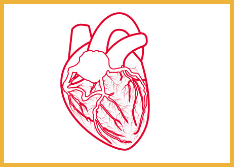 CATH CMD Index of Microcirculatory Resistance (IMR)