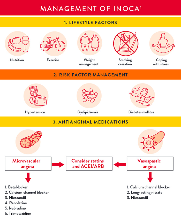 Ischemia with Non-Obstructive Coronary Arteries