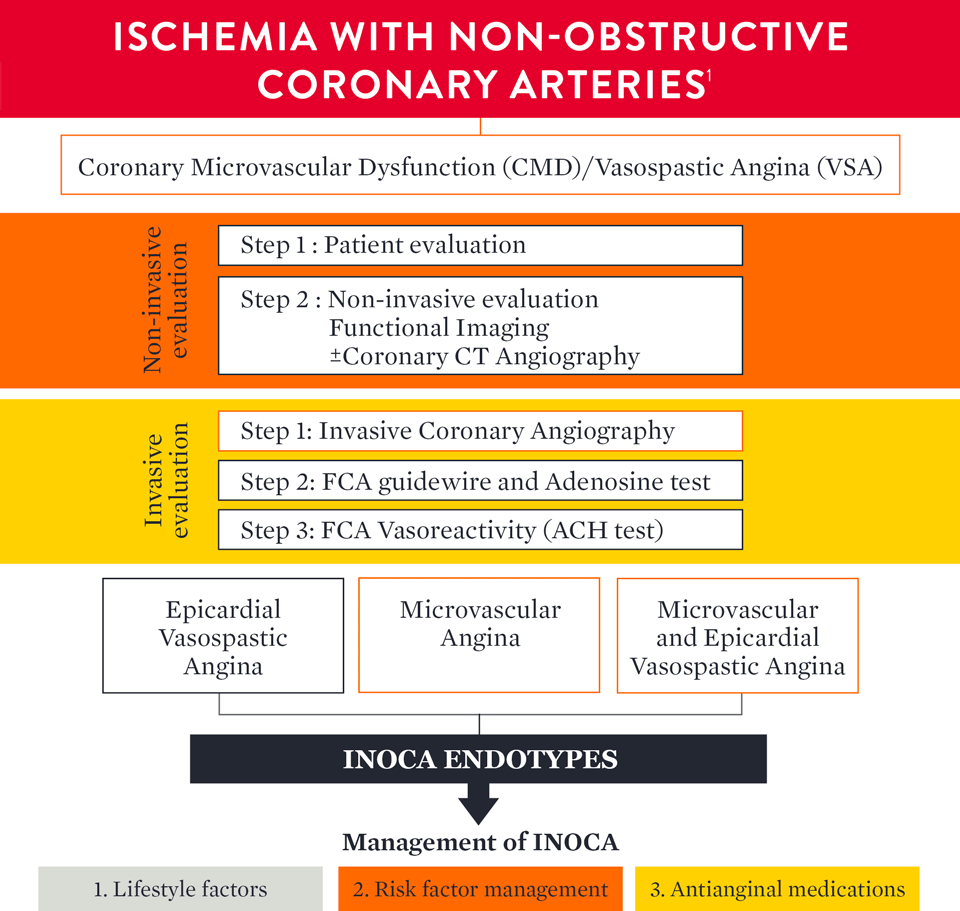 Ischemia with non-obstructive coronary arteries graphic