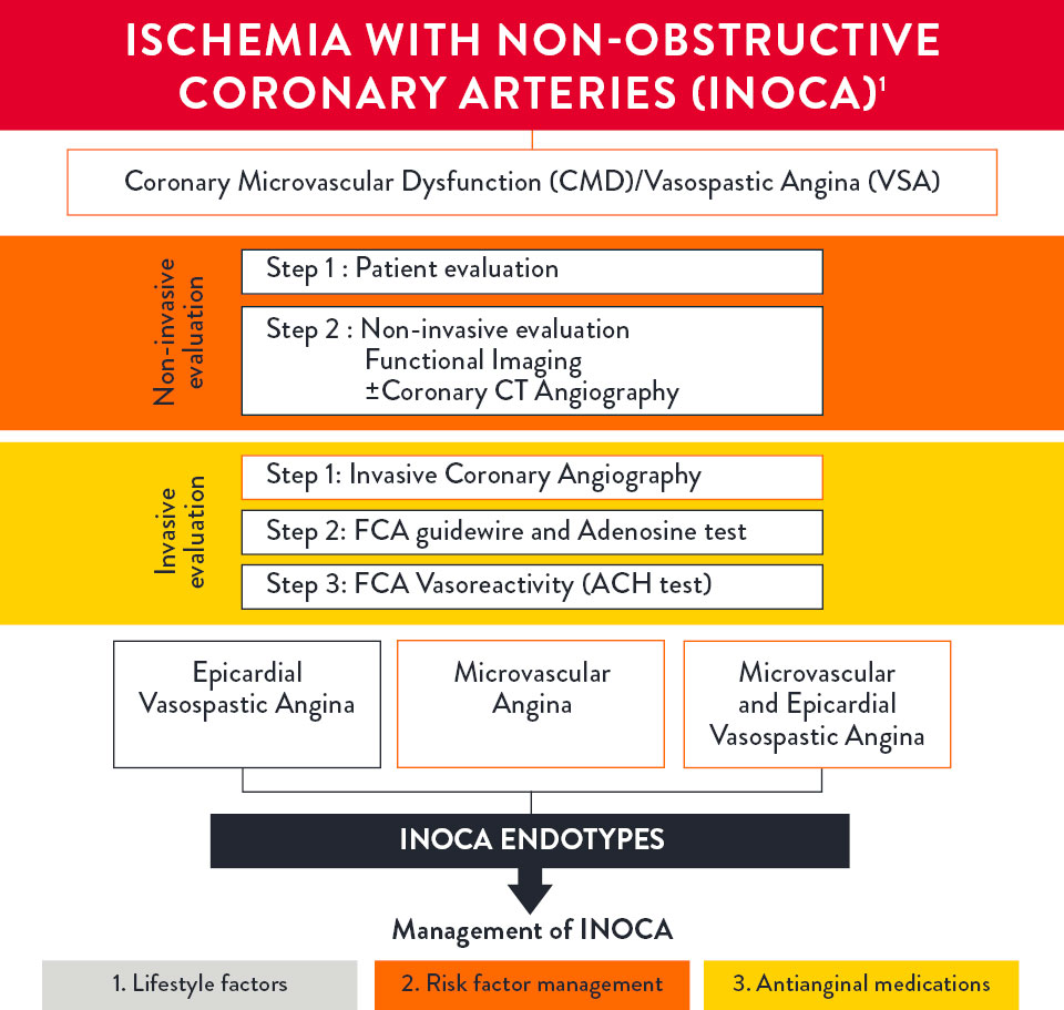 Ischemia with Non-Obstructive Coronary Arteries