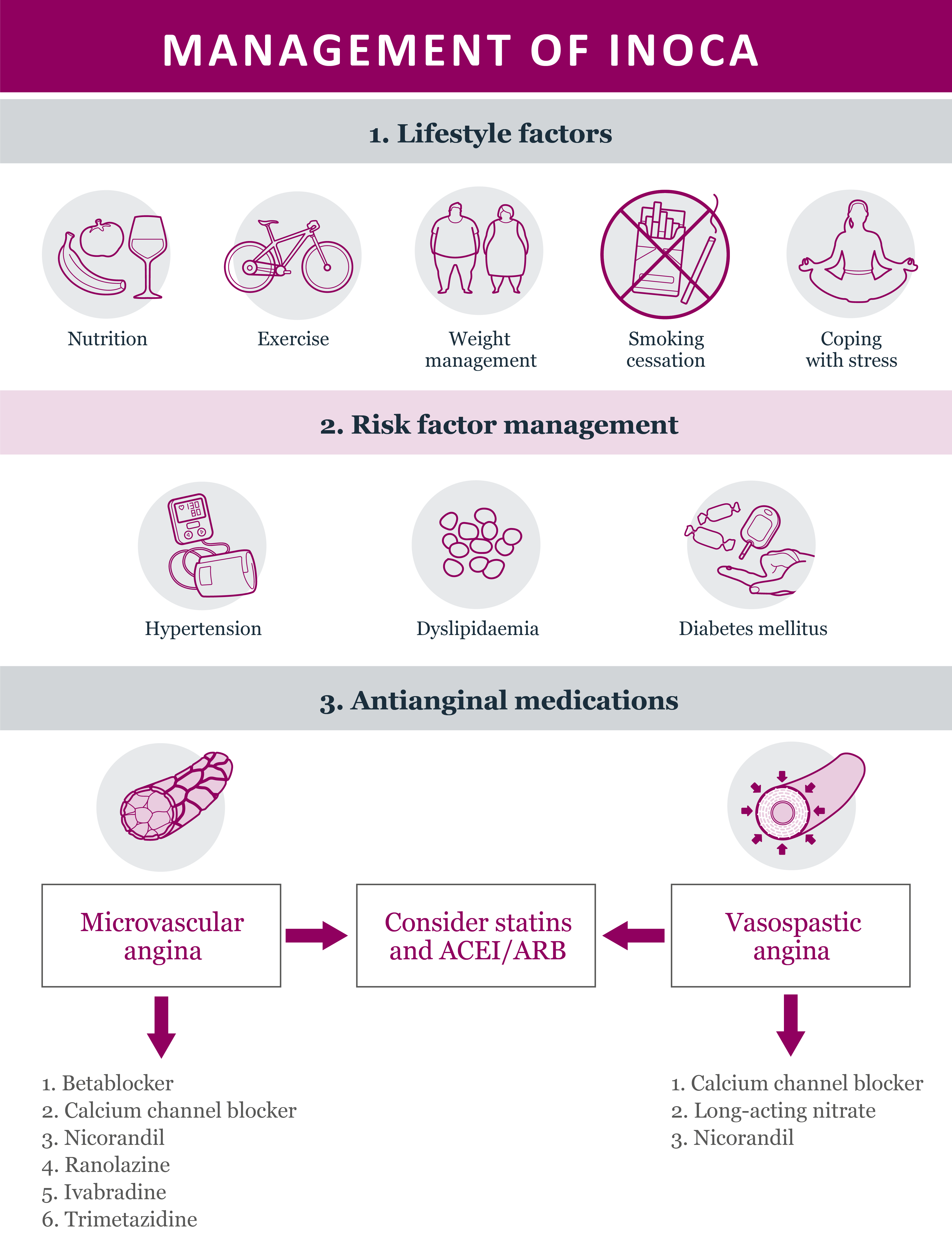 microvasculature is not viewed on angiogram