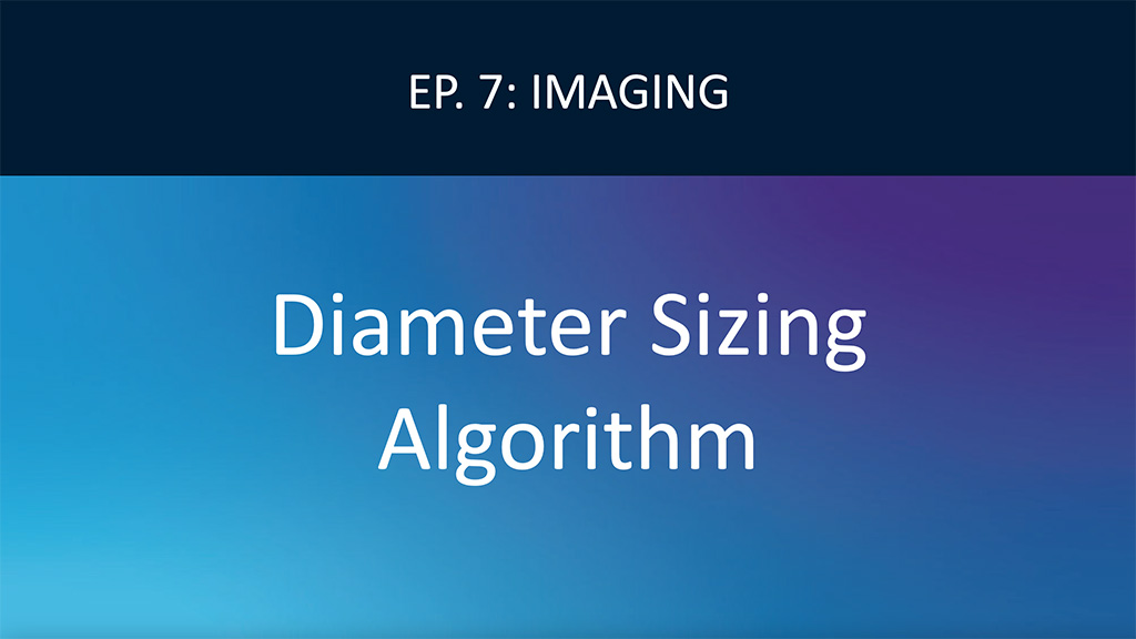 Determine coronary vessel diameter based on EEL/Lumen measurements Video