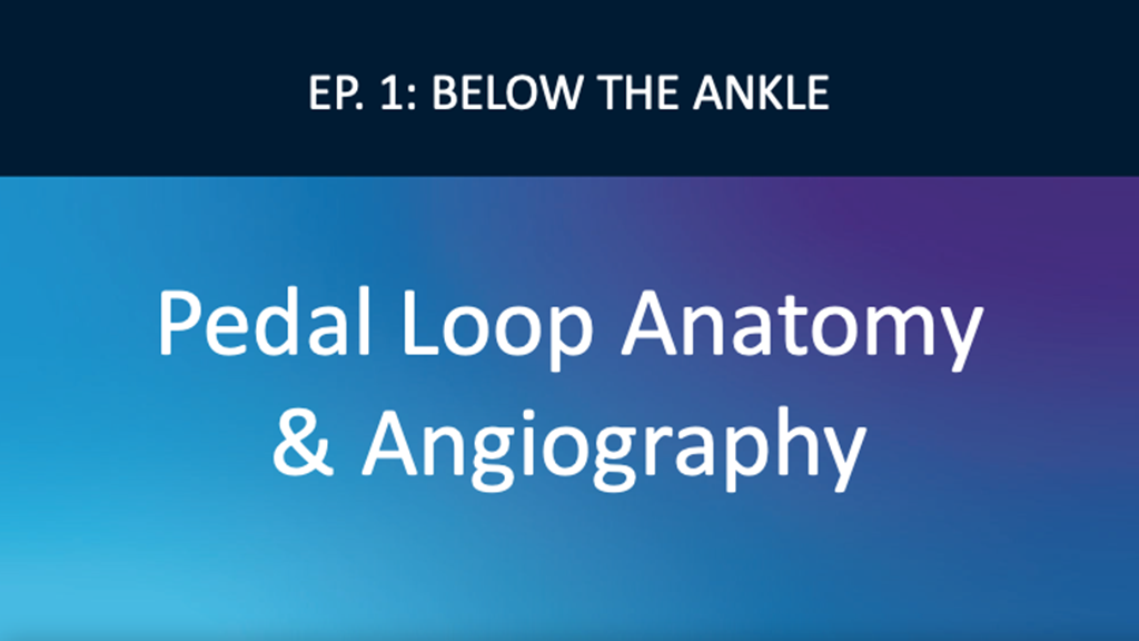 Pedal Loop Anatomy & Angiography