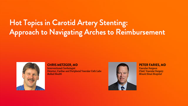 Hot topics in carotid artery stenting
