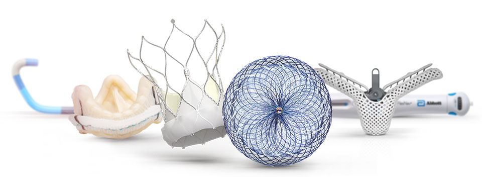 Structural Heart Fellows education