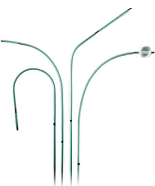 PACEL Bipolar Pacing Catheters