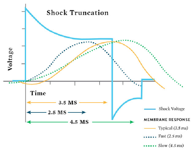 Line graph showing the shock truncation, voltage and membrane response of the Ellipse ICD.