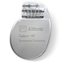 A pair of Gallant ICDs