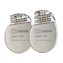 A pair of Gallant ICDs