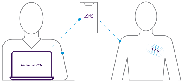 Merlin system connectivity diagram