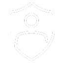 Shield Icon in Gradient