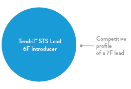 Tendril Pacing Lead Helix