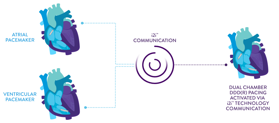 i2i Communication