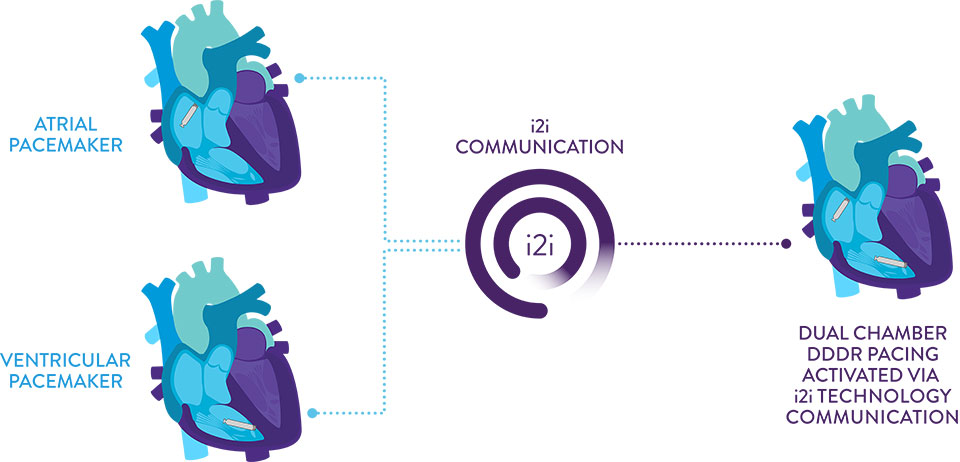 i2i Communication