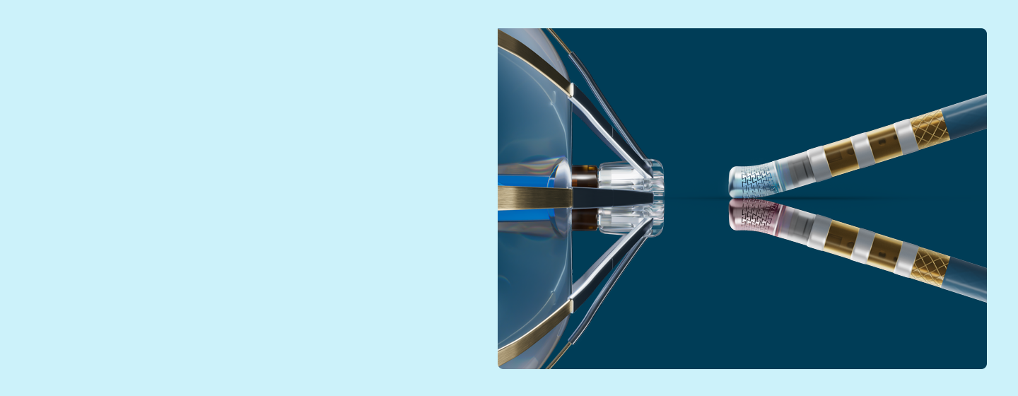 Pulsed Field Ablation