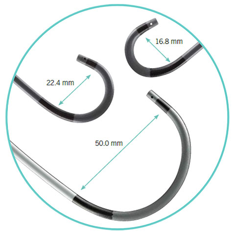 Curve sizes for the Agilis NxT Steerable Introducer
