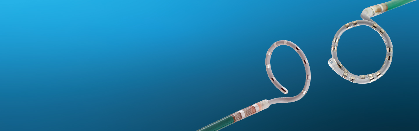  Advisor VL Mapping Catheter