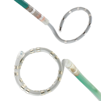 Advisor VL and FL Mapping Catheter, SE