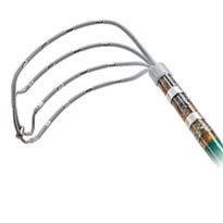 Advisor HD Grid Mapping Catheter, SE