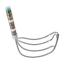 Advisor HD Grid Mapping Catheter, SE